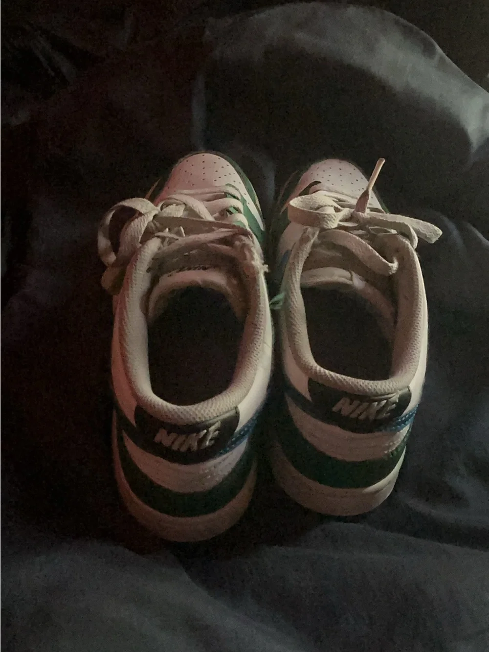 Nike Green White Blue Low-Top Athletic Sneakers